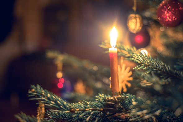 Candle on traditional decorated Christmas tree, evening