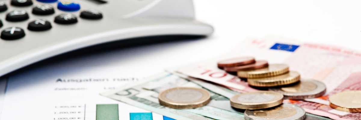 Haushaltsplan Haushaltsplan