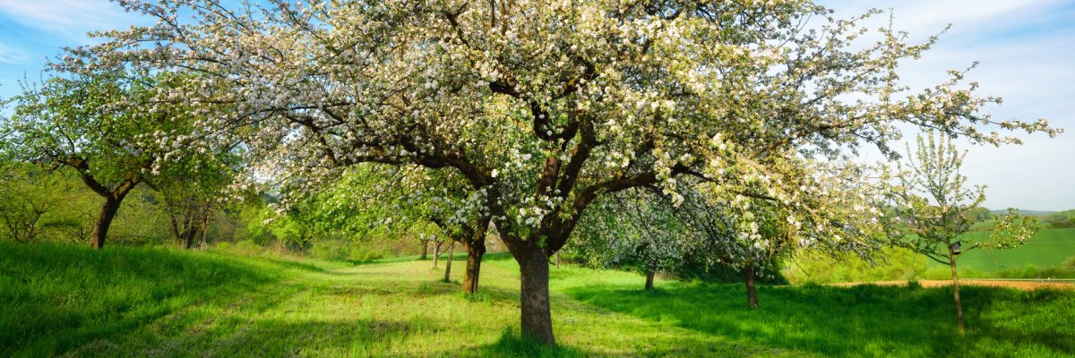 Idyllische Frühlingslandschaft Idyllische Frühlingslandschaft