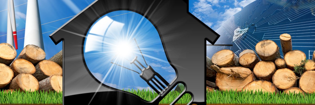 House with Light bulb and Renewable Resources House with Light bulb and Renewable Resources