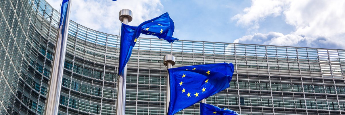 European flags  in Brussels European flags  in Brussels