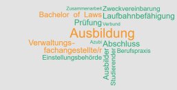 Zusehen ist ein Arrangement der Wörter Zusammenarbeit, Zweckvereinbarung, Bachelor of Laws, Laufbahnbefähigung, Prüfung, Verbund, Ausbildung, Azubi, Verwaltungsfachangestellter, Abschluss, Berufspraxis, Einstellungsbehörde, Ausbilder, Studierender. Die Wörter sind in grün und orange auf weißem Grund.