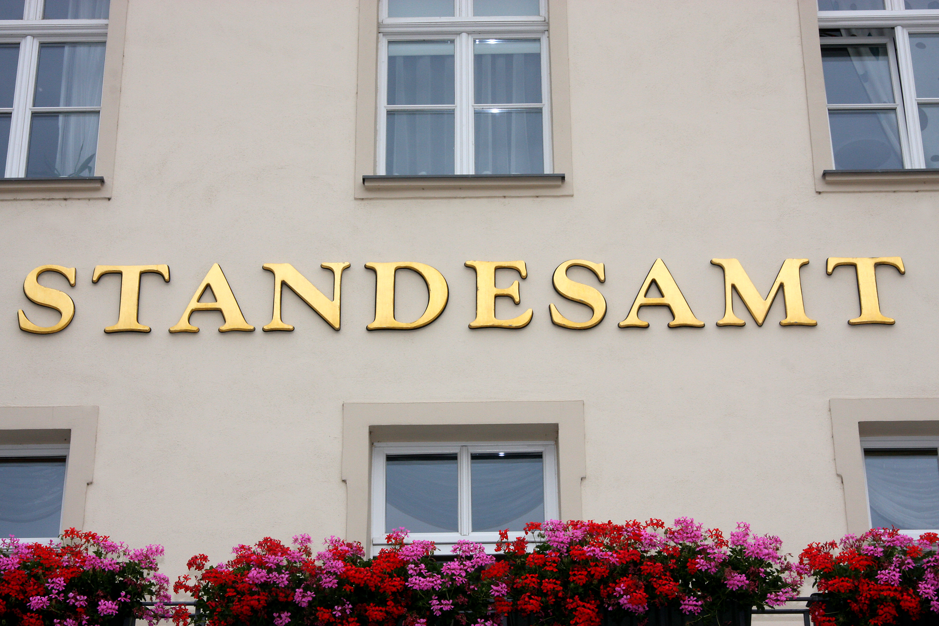 Zu sehen ist ein Fachwerkhaus mit rotem Dach, vor dem ein Zweig mit Kirschblüten hängt.